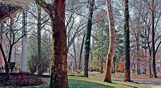 pershing park