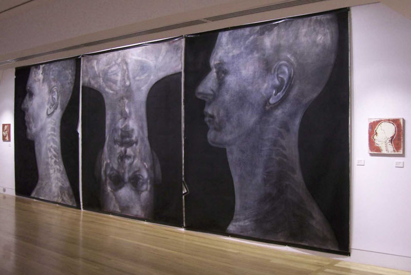 'Empirical Triptych' Shepparton Reg Gall. 2006.jpg