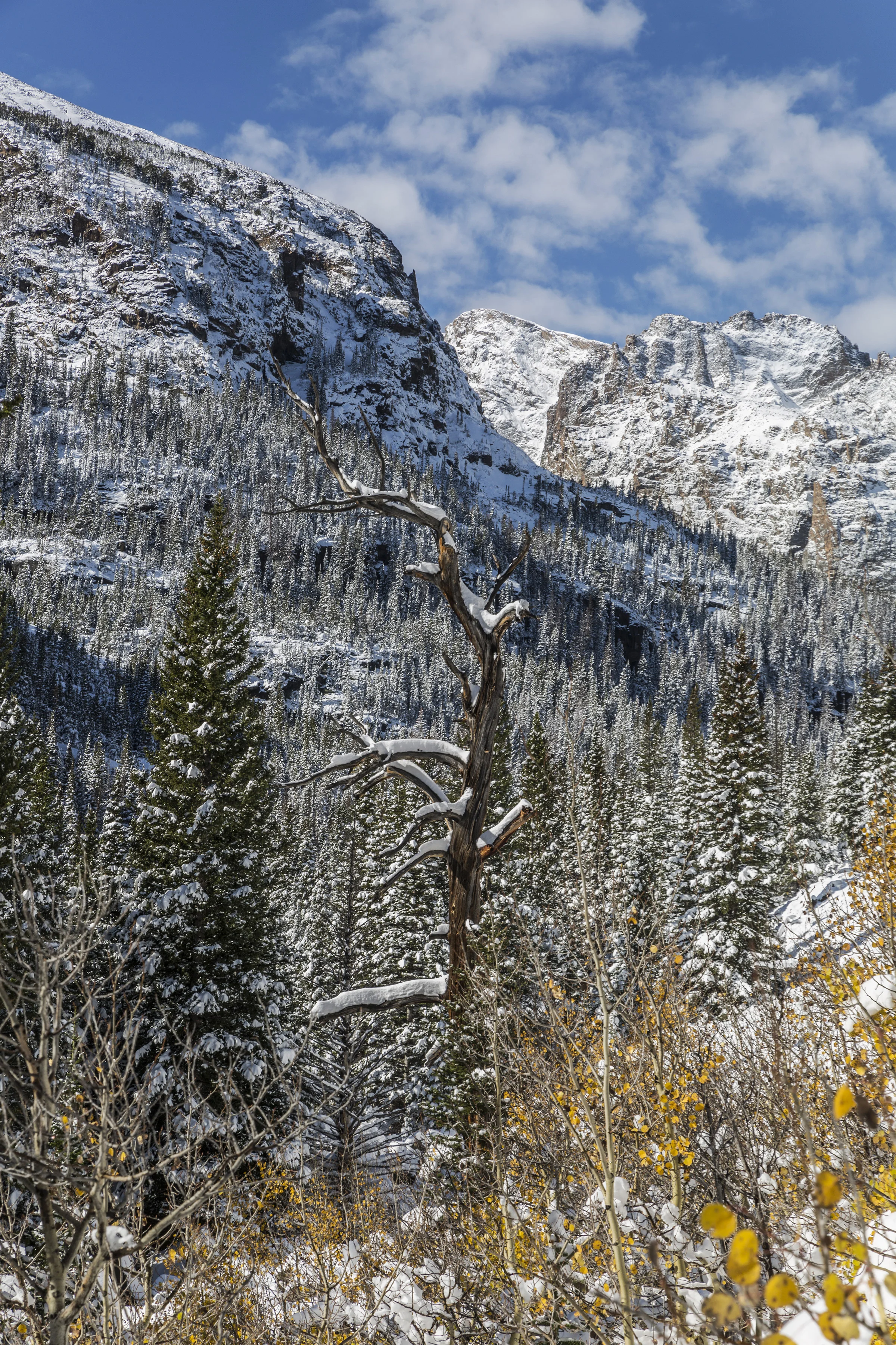 RMNP_3WEB.jpg