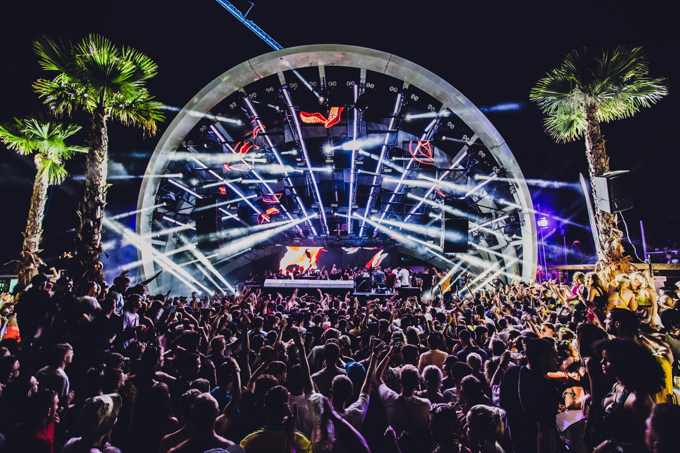 TylerAllix-Papaya-MarcoCarola-3.jpg