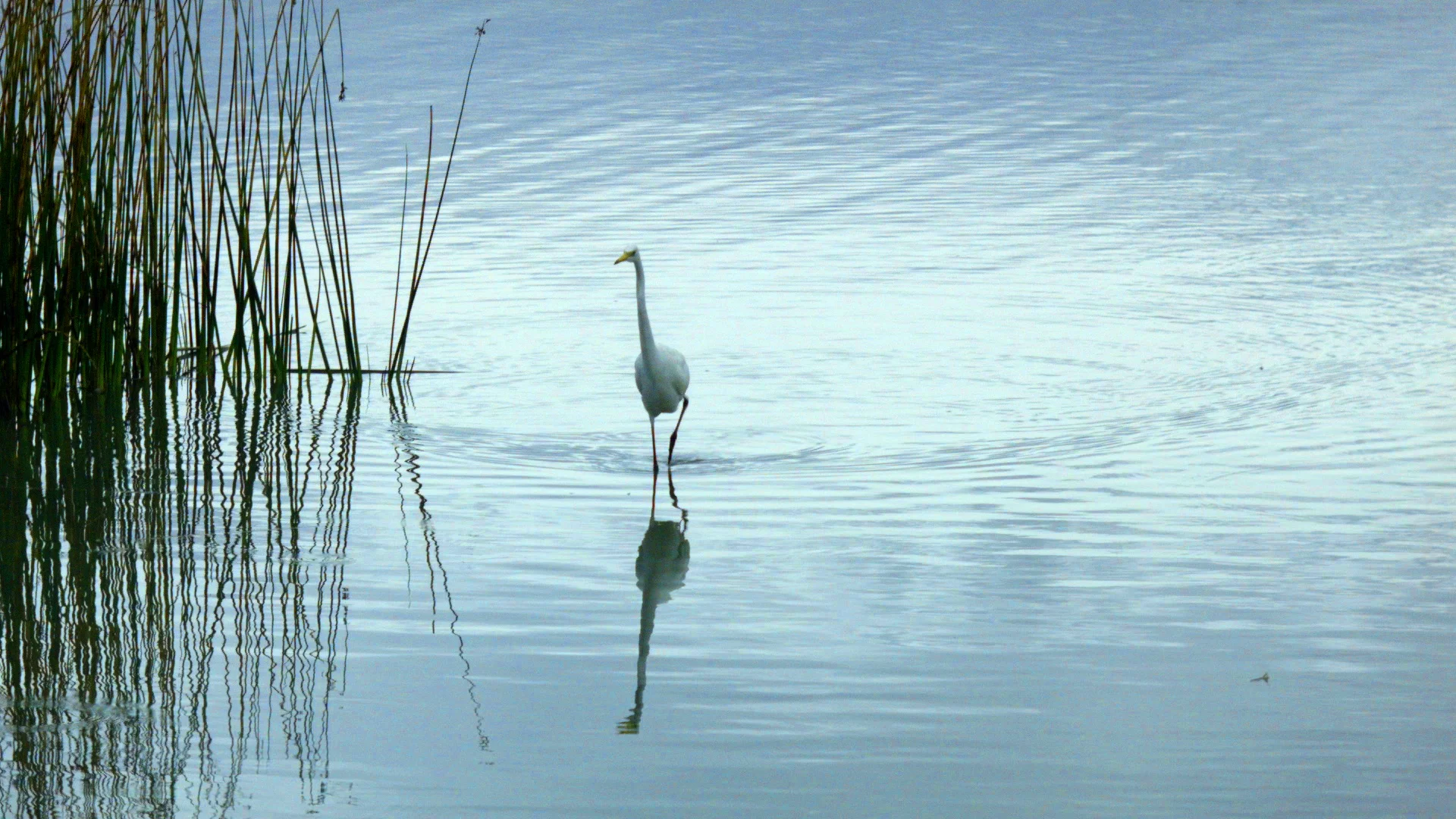 Stories of Recovery.jpg