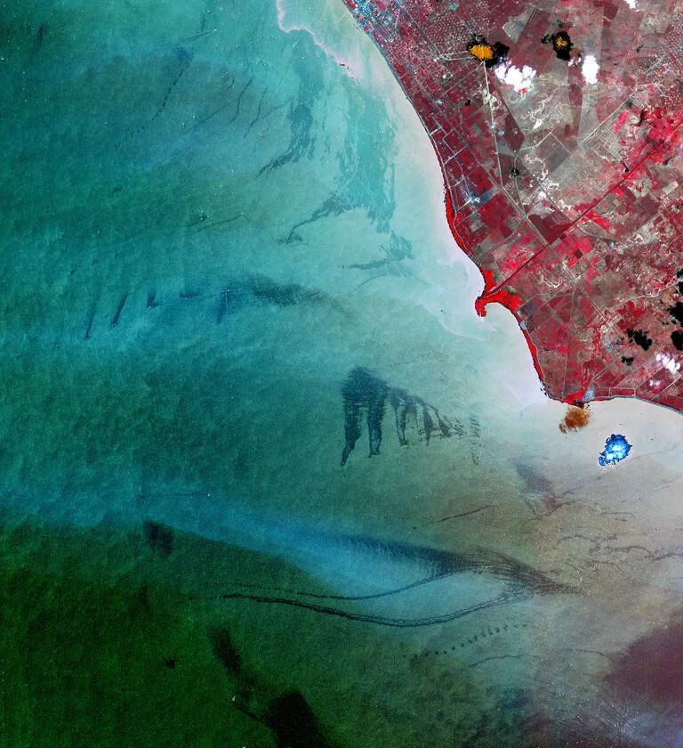  I’m delighted to have been invited to share my research on the cultural ecology of oil at the Neubauer Collegium’s  symposium   Fossil Capitalism in the Global South . The event will take place at the University of Chicago on May 5th. 