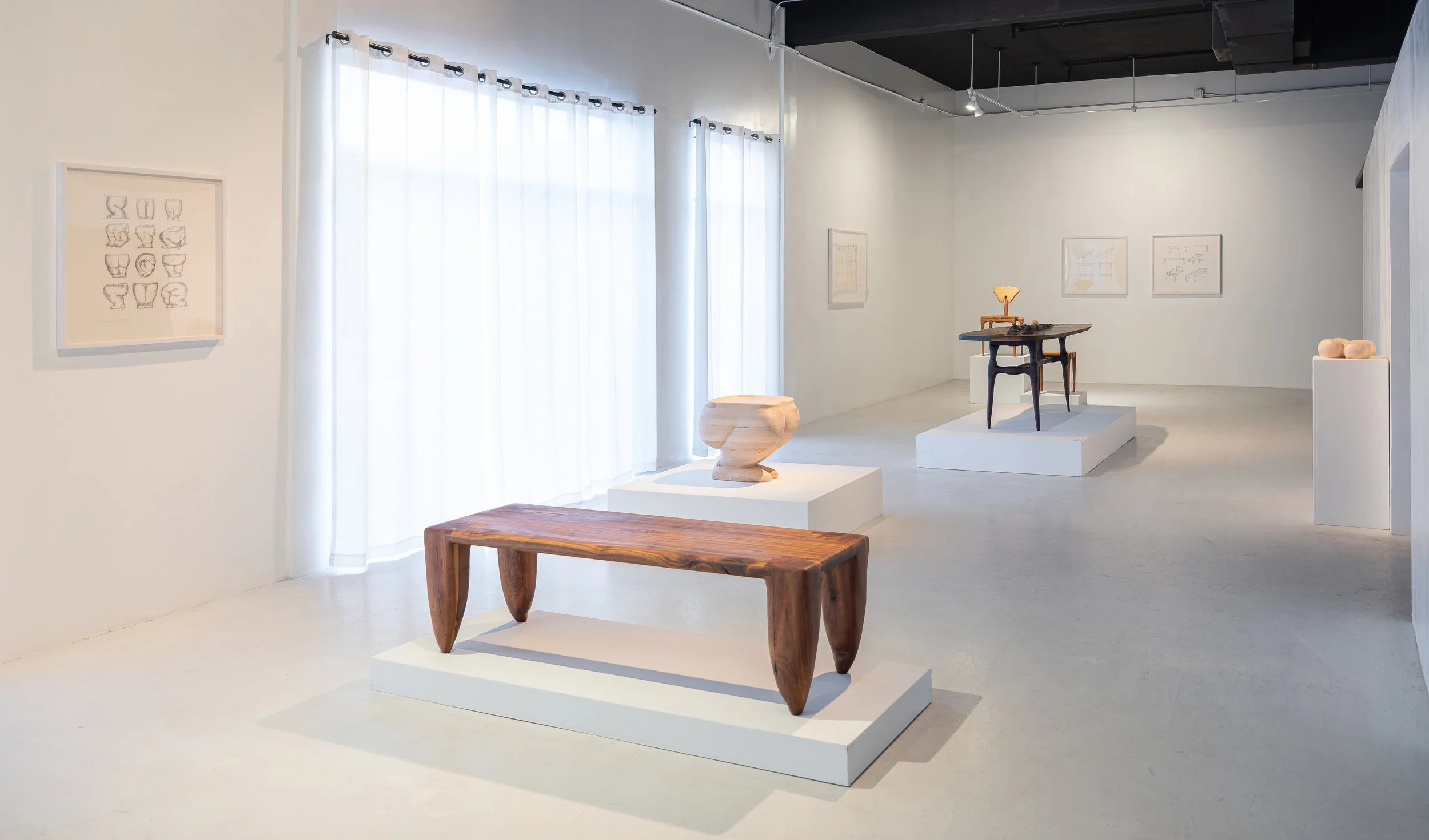 Gallery 13.jpg
