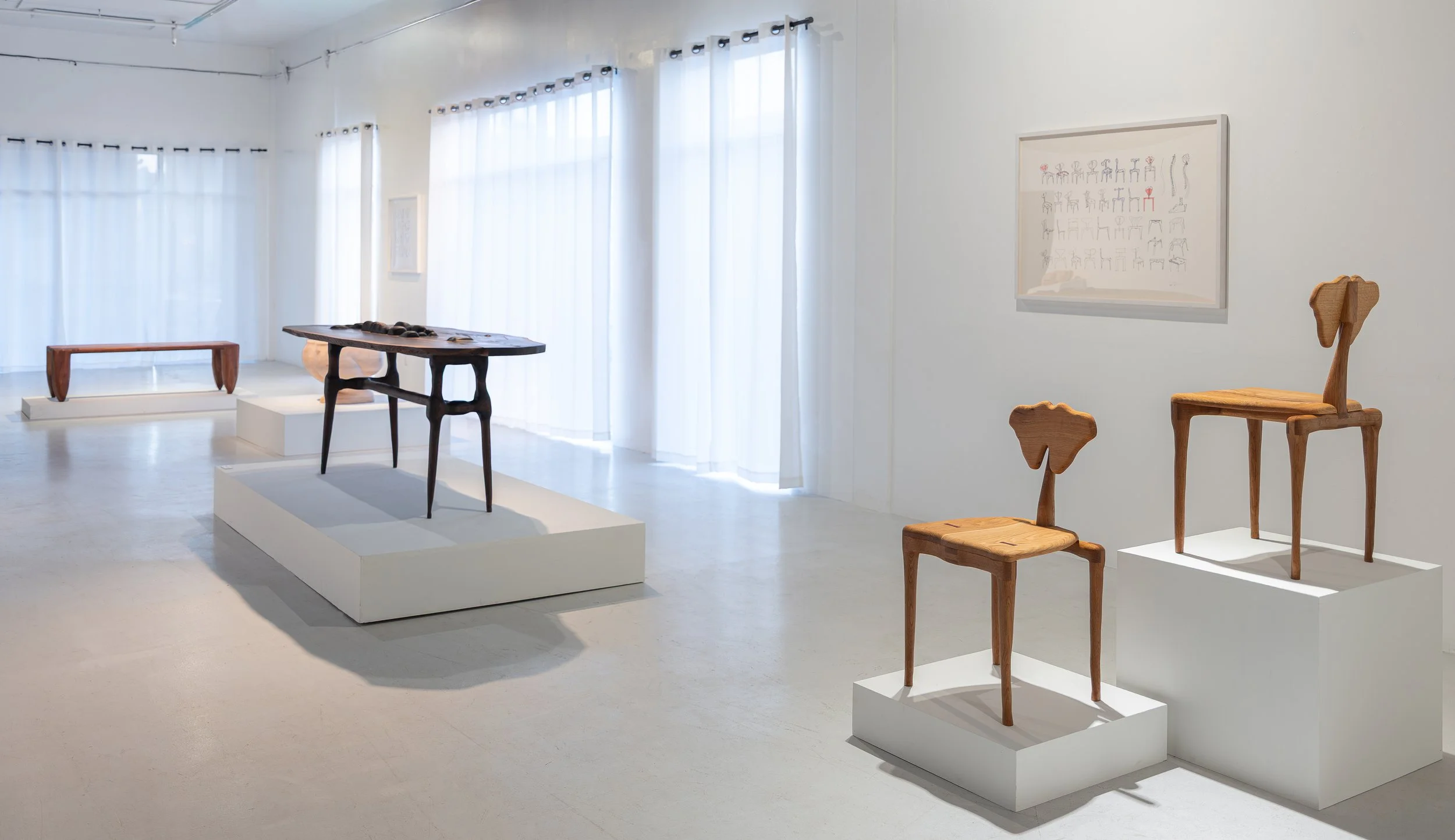 Gallery 16.jpg
