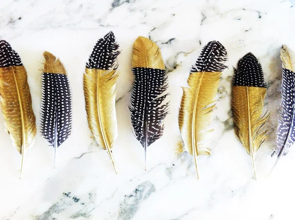 Feathers by Niki G.