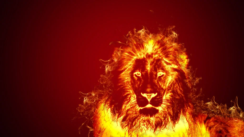 THE GRACE OF FLAMES
