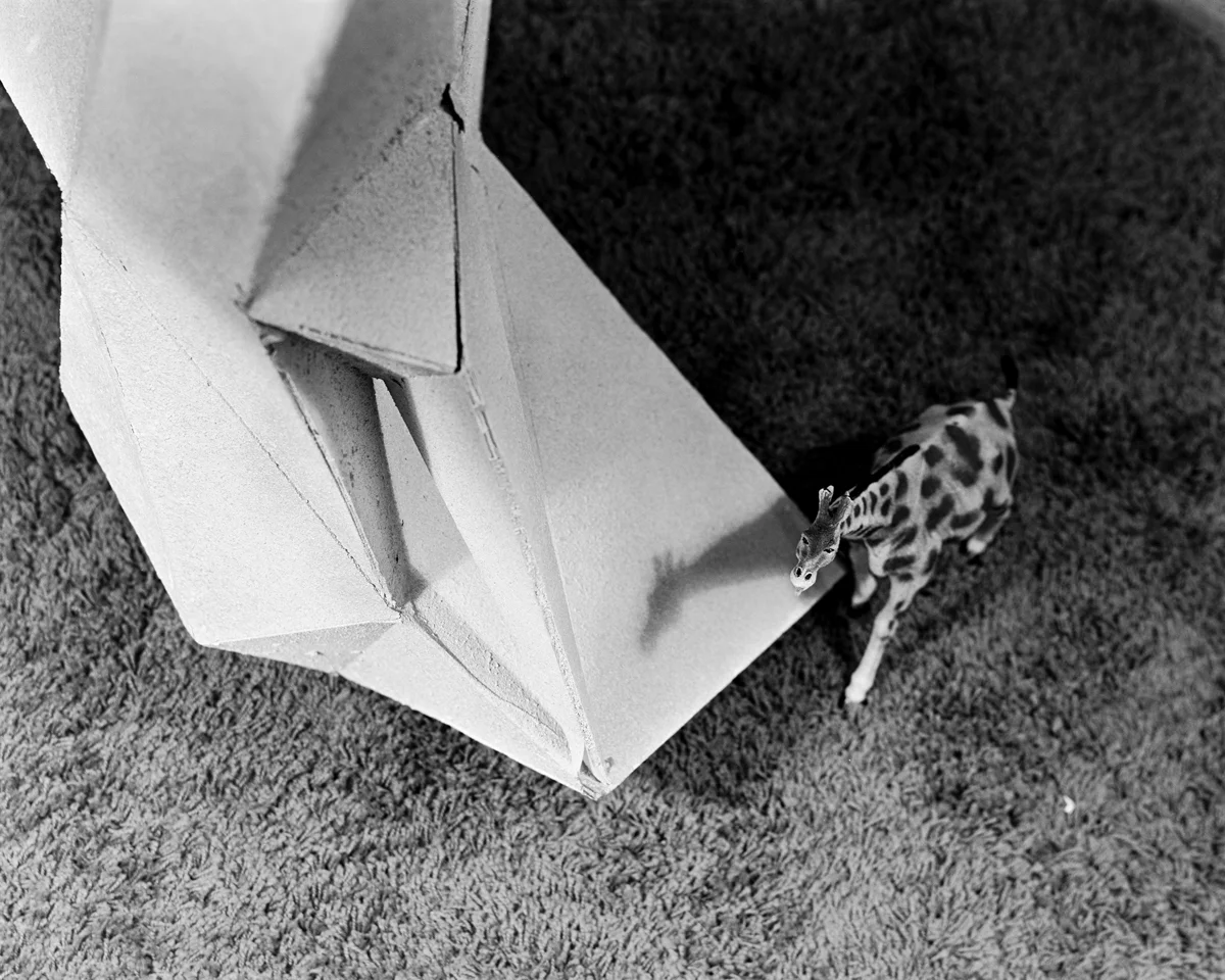 A Giraffe and its Sculptural Representation, 2015 | 4x5 B&amp;W