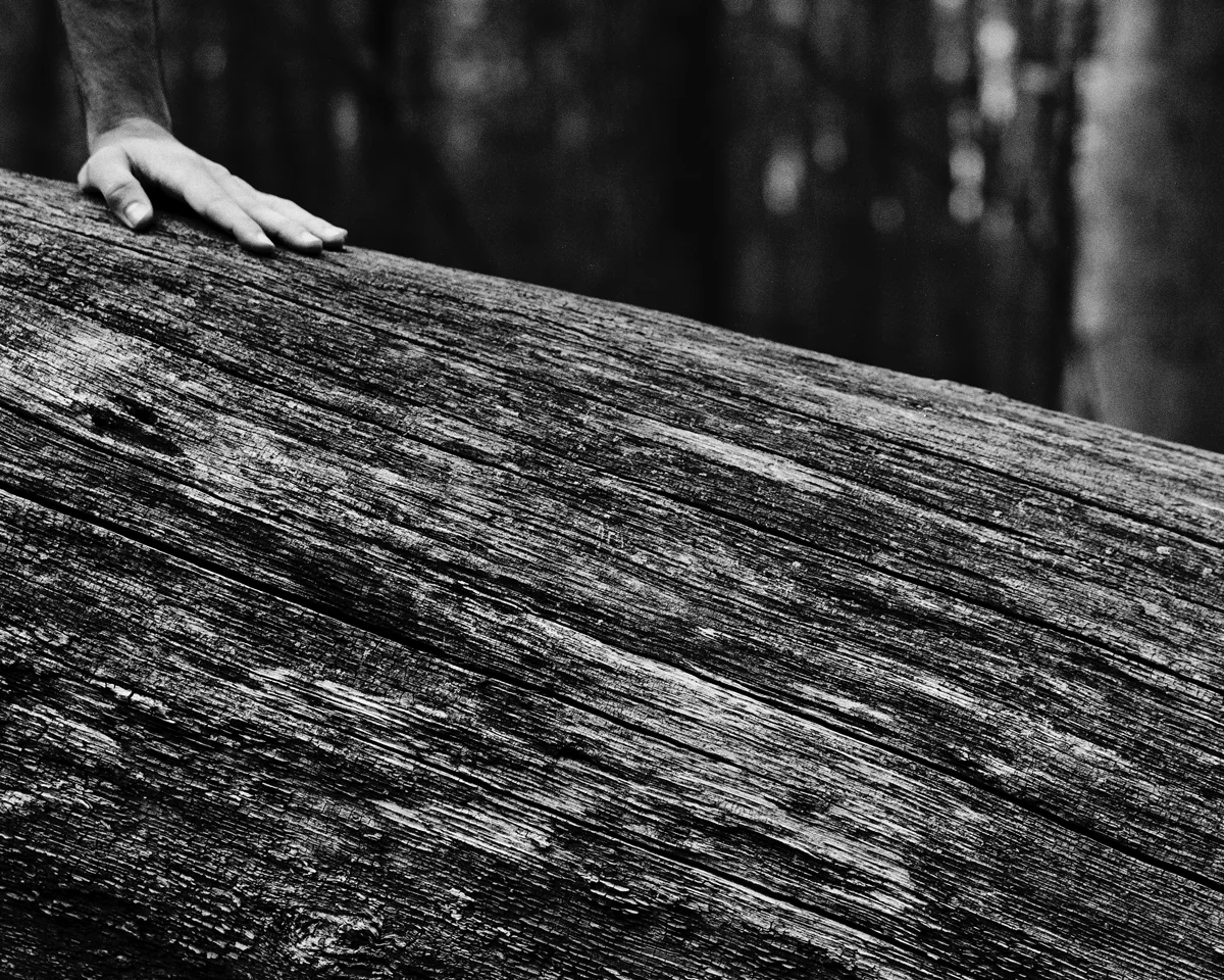 Untitled, 2015 | 4x5 B&amp;W