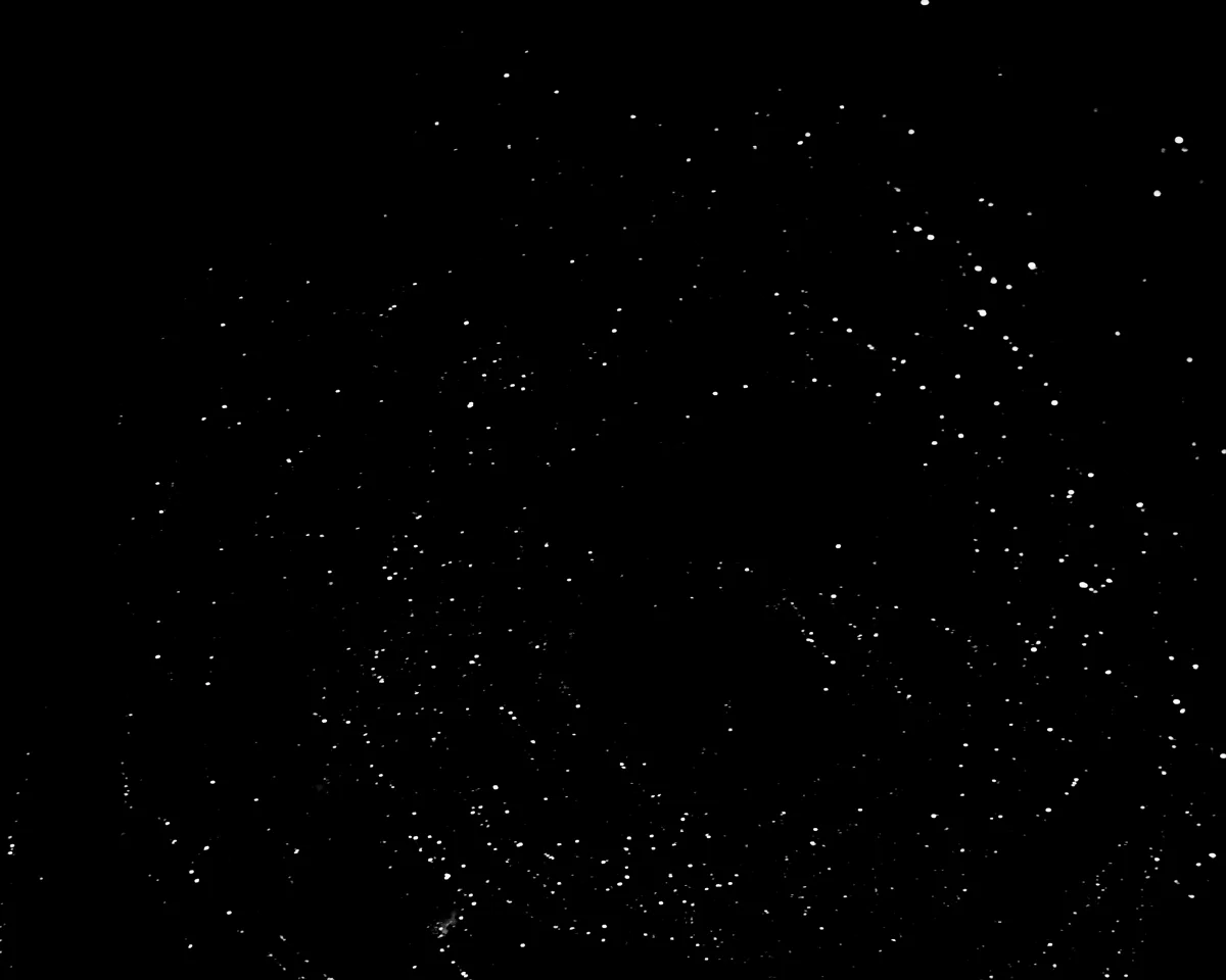 Glitter as Space Dust II, 2015 | 4x5 B&amp;W