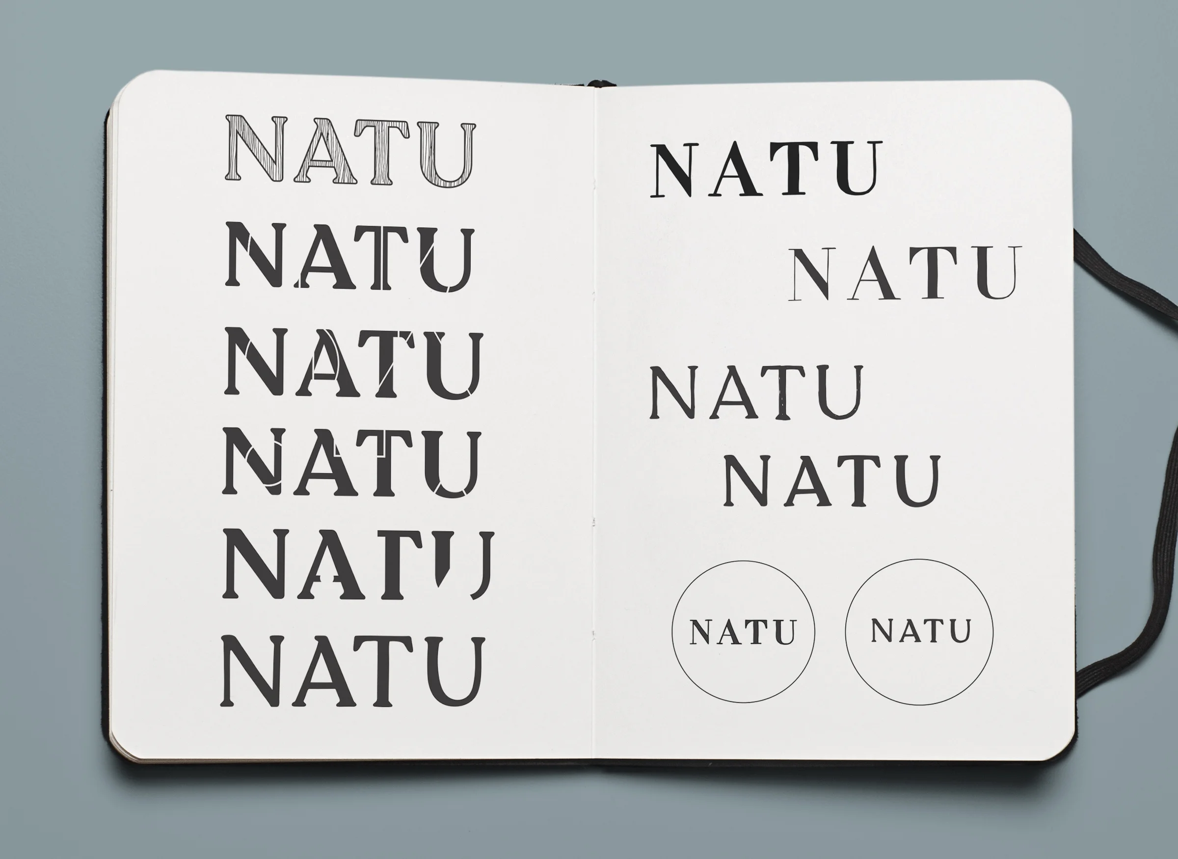 NATU-sketchbook3.jpg
