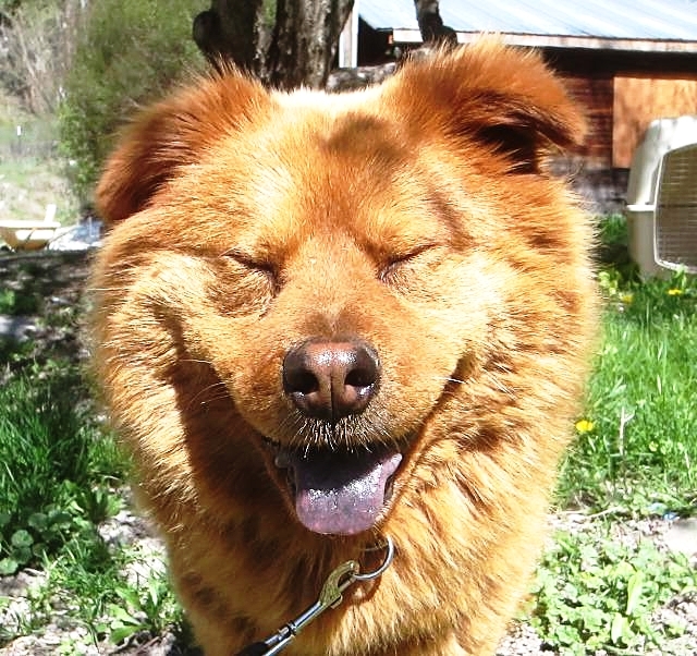 fuzzy.jpg