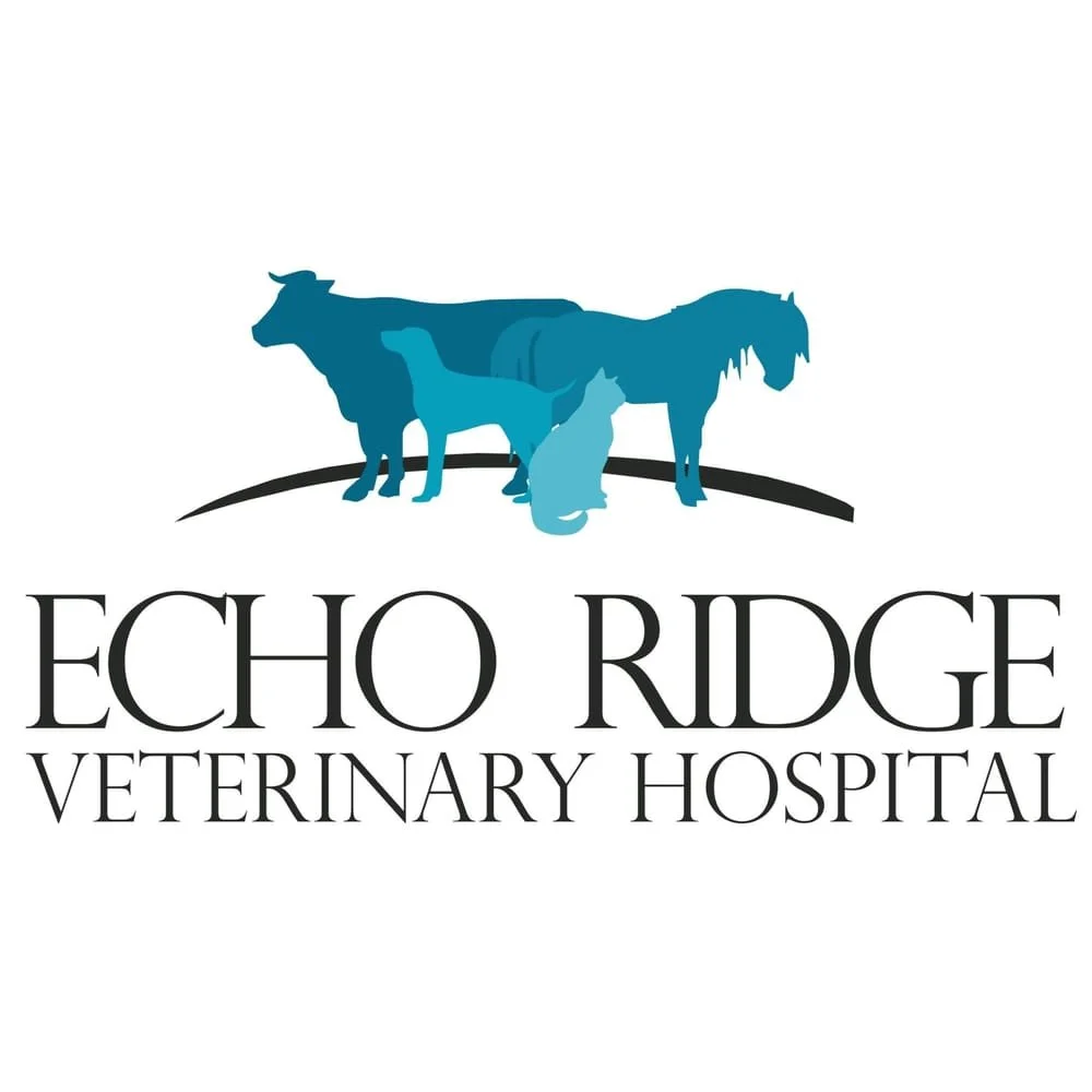 Echo Ridge Vet Hospital.jpg