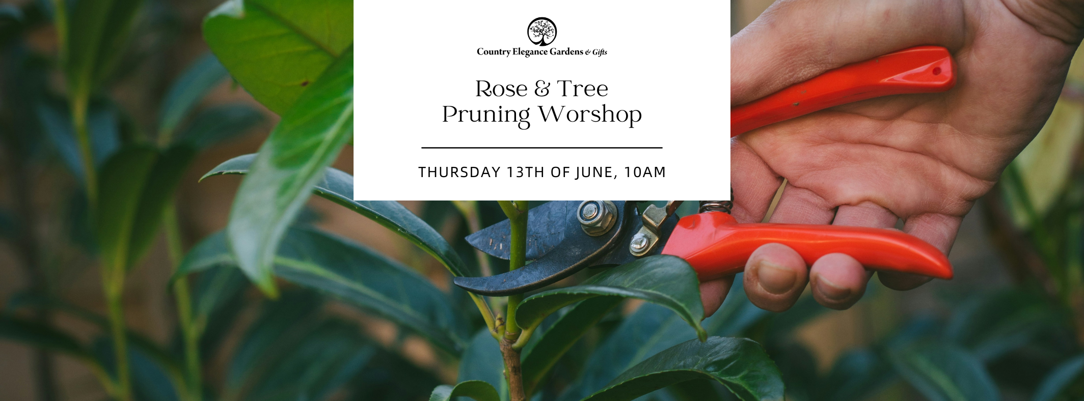 CE_pruning_workshop_FB_banner.png