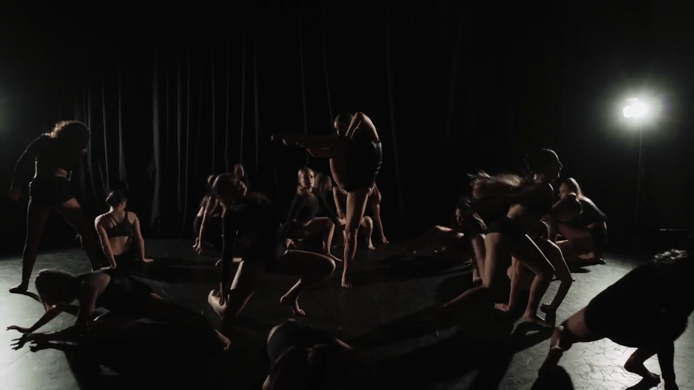 POWERHOUSE DANCE COMPANY