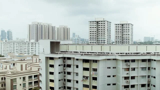 Flocking Kiwis (The Wireless) / Singapore / Anna Hamill