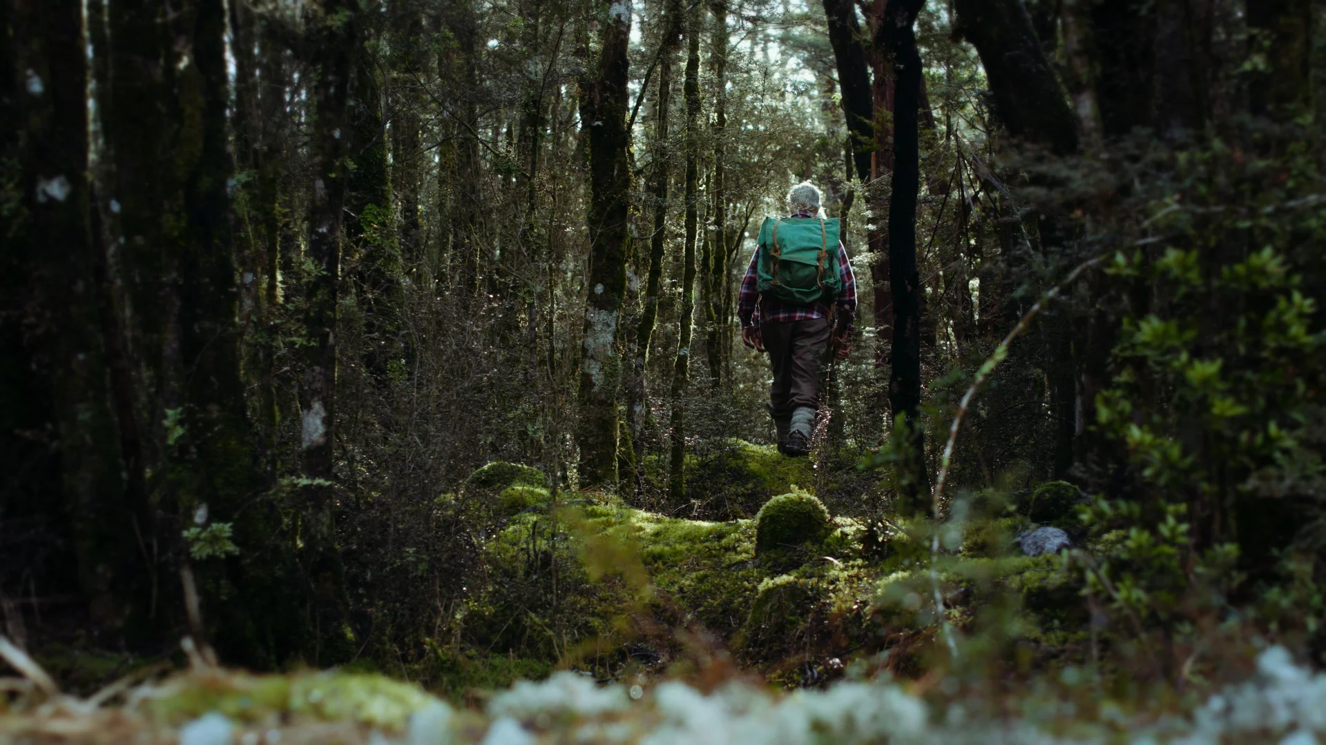 Reefton Distilling Co. / Little Biddy Brand Film (Agency: Double Lux)