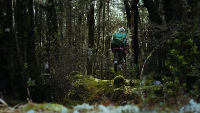 Reefton Distilling Co. / LITTLE BIDDY / Brand Film