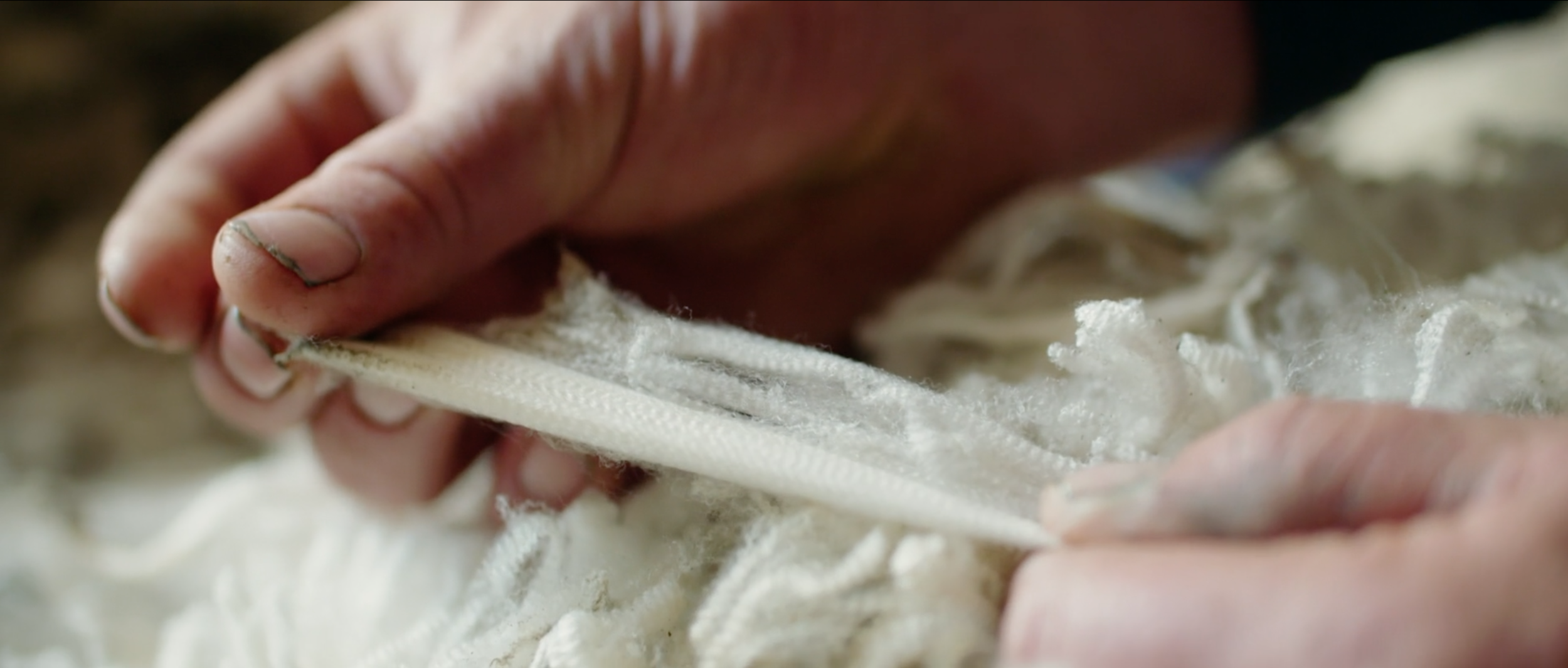 Helly Hansen - The New Zealand Merino Company - Grower Profile