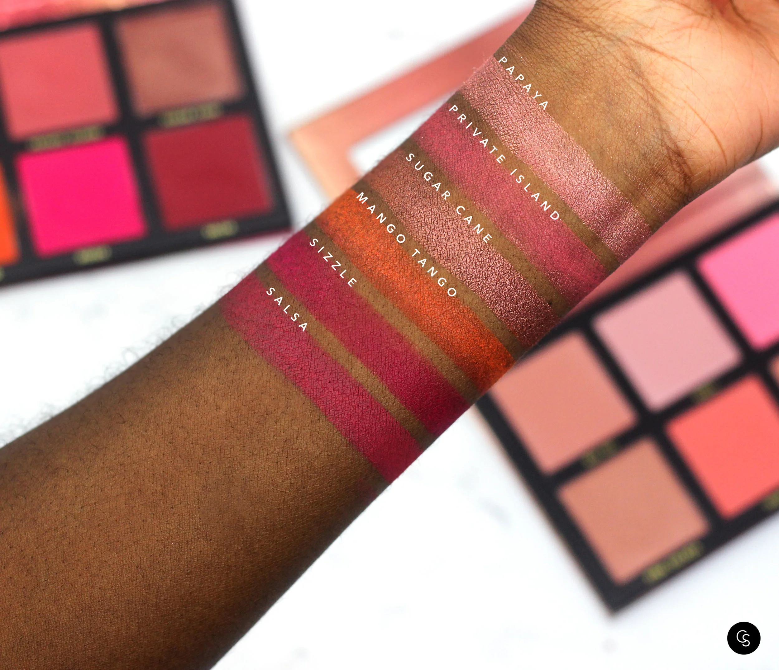 Stilazzi Blush Palettes5.jpg