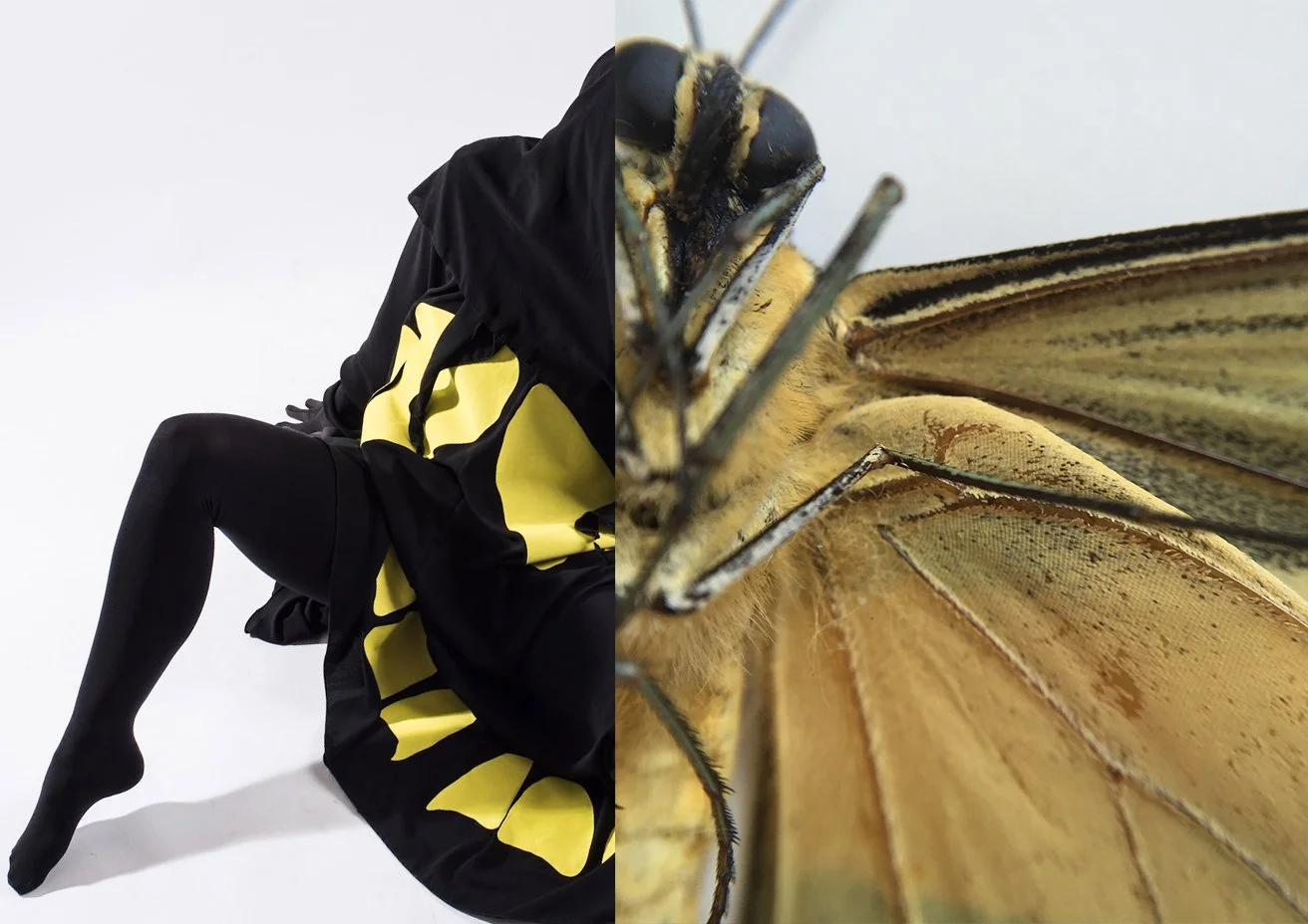 Stereoscopic 02.jpg