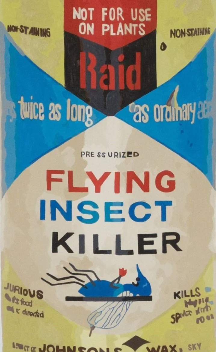 Flying%2BInsect%2BKiller%2BRAID.jpg