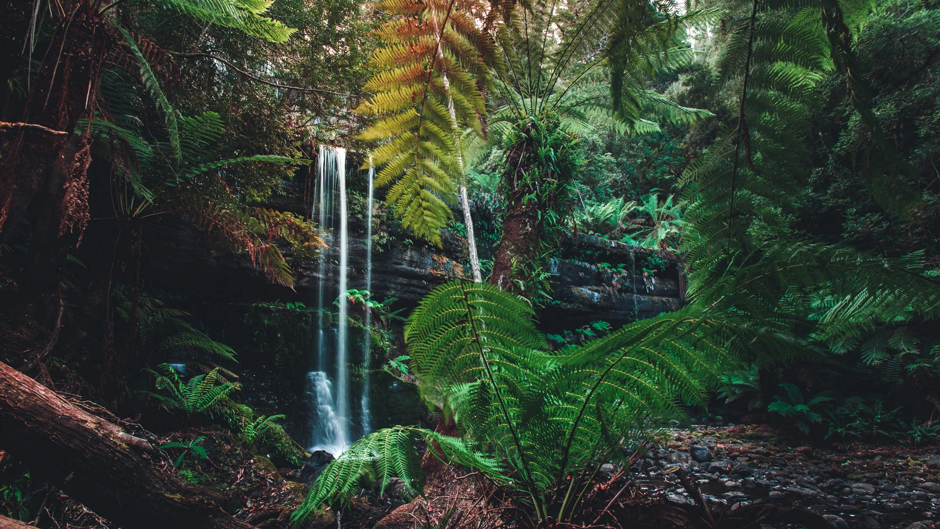 Russell Falls, Tasmania