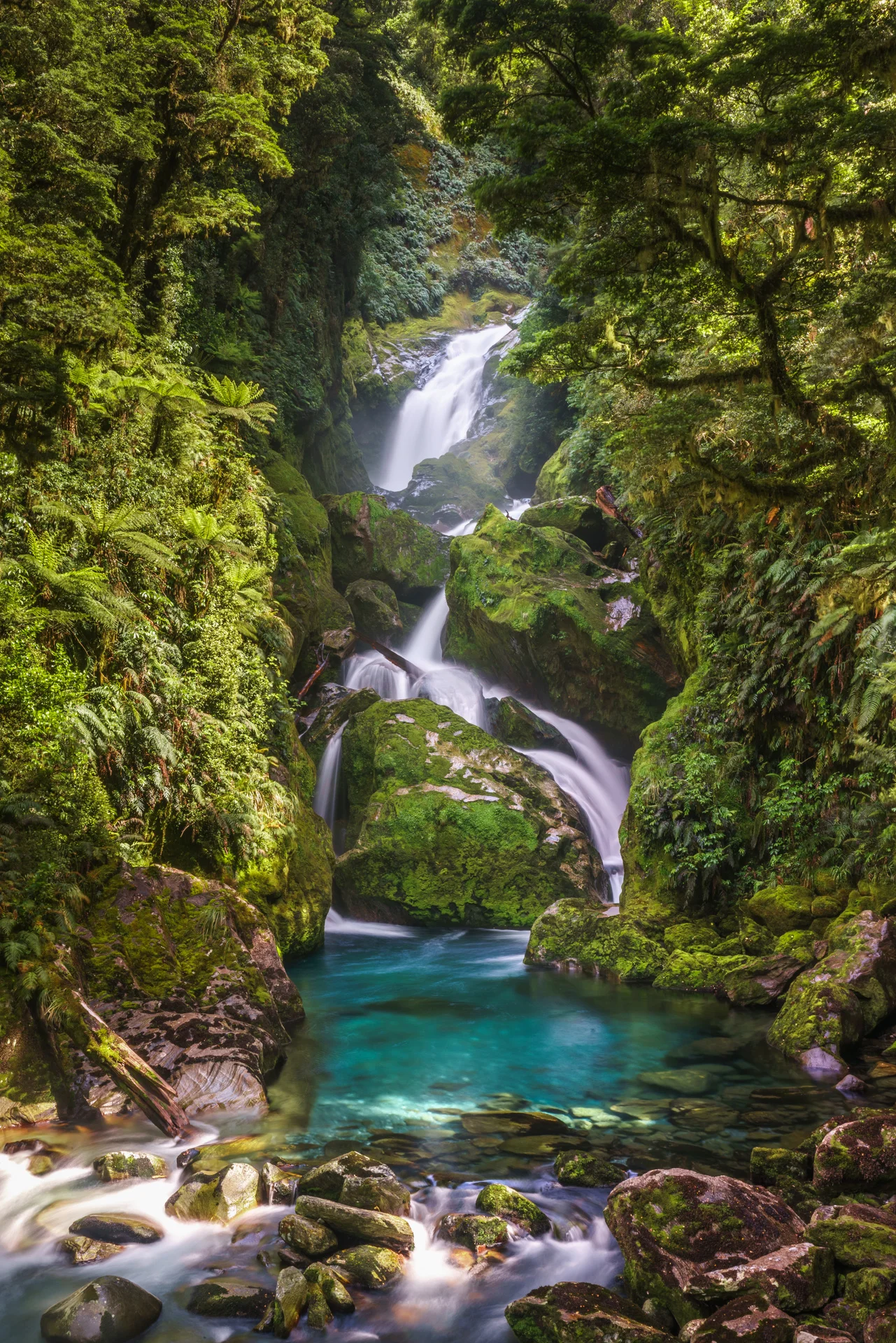 MacKay Falls, New Zealand
