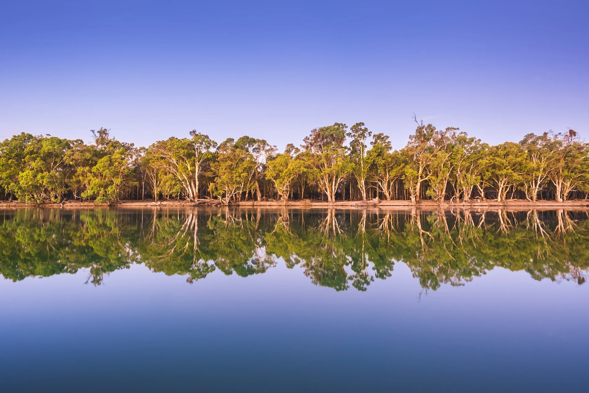 The River Murray, Mildura
