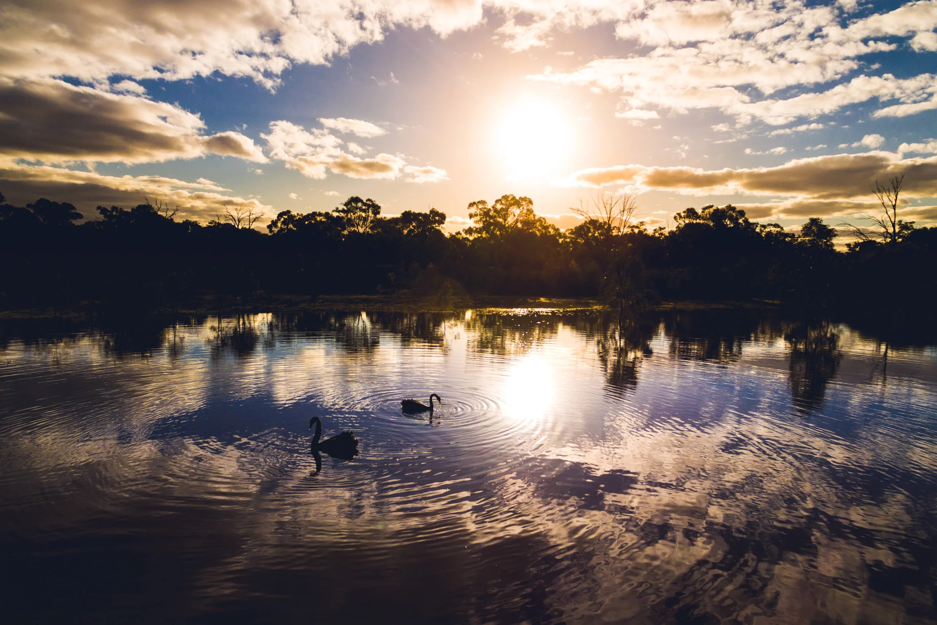Kings Billabong, Nichols Point