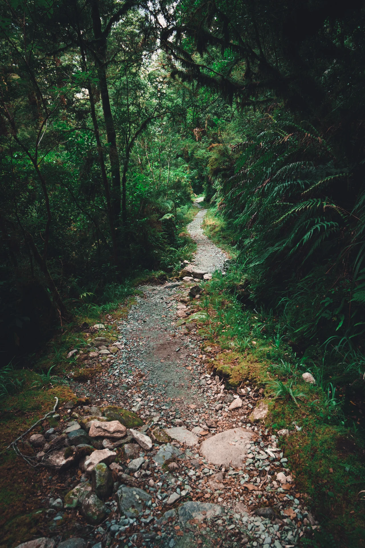 Milford Track, New Zealand