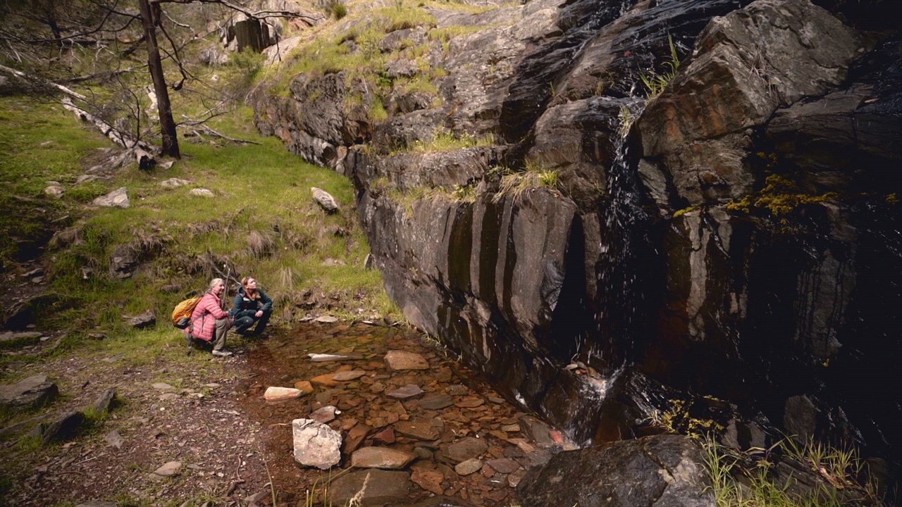 Cinemagraph - Avoca.gif