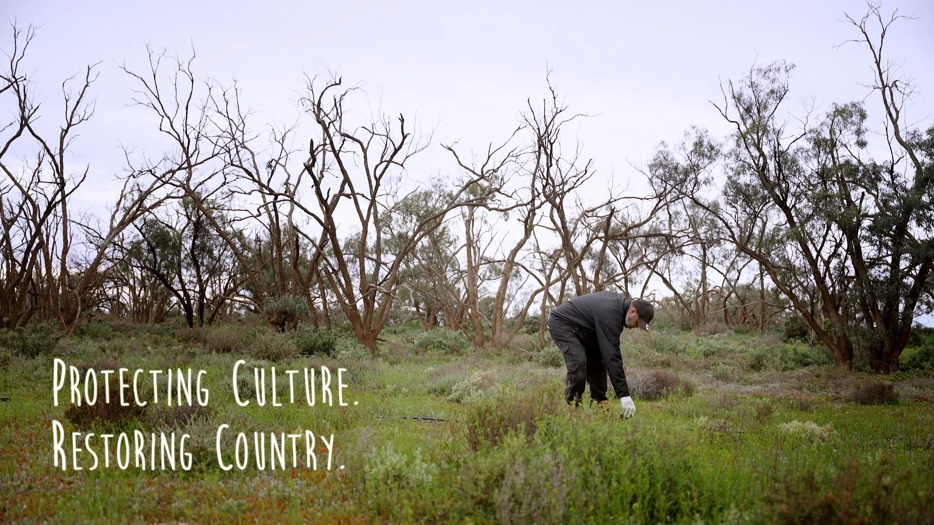 Mallee Catchment Management Authority - Protecting Culture Restoring Country