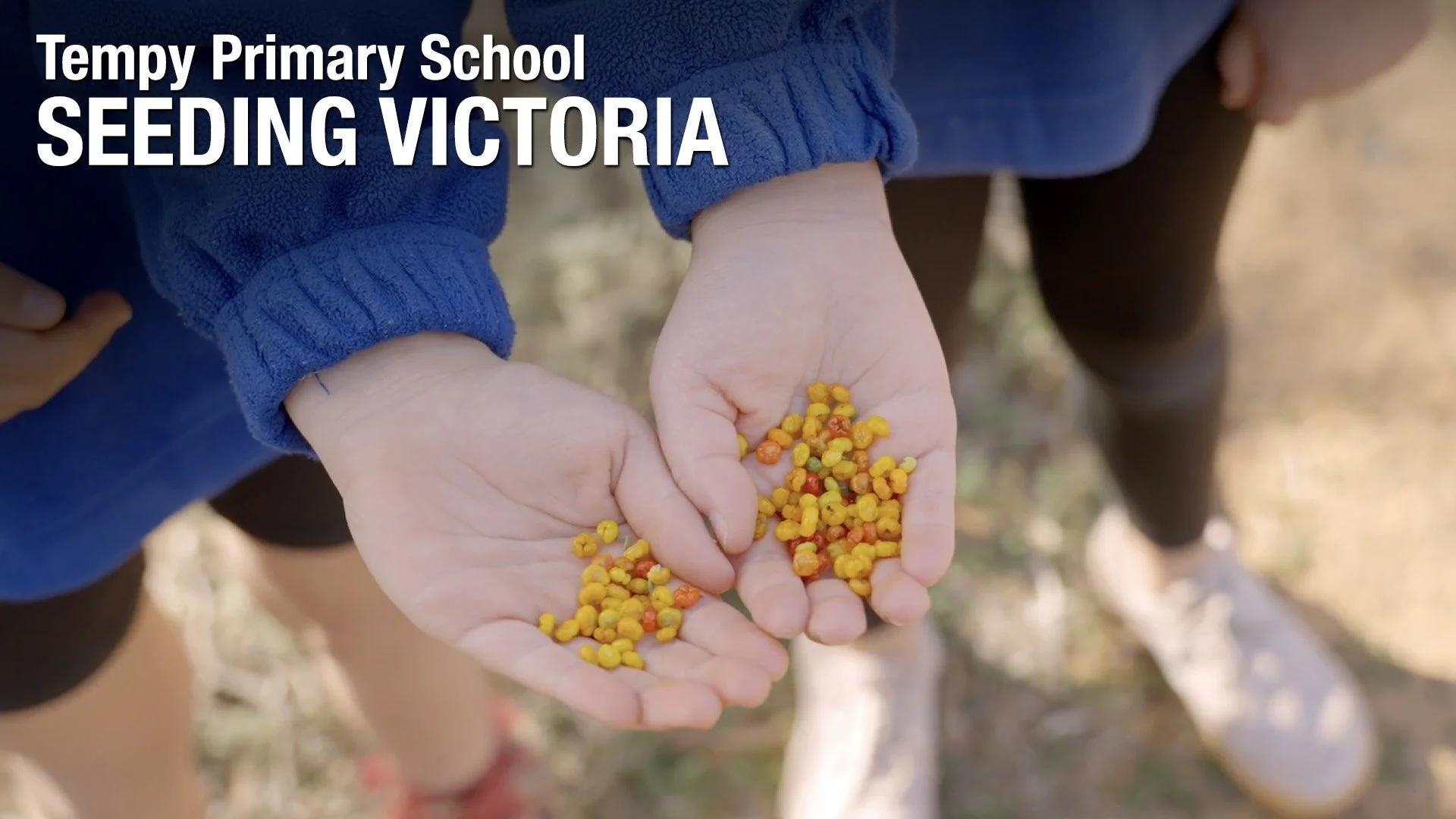 Mallee Catchment Management Authority - Tempy Primary School - Seeding Victoria