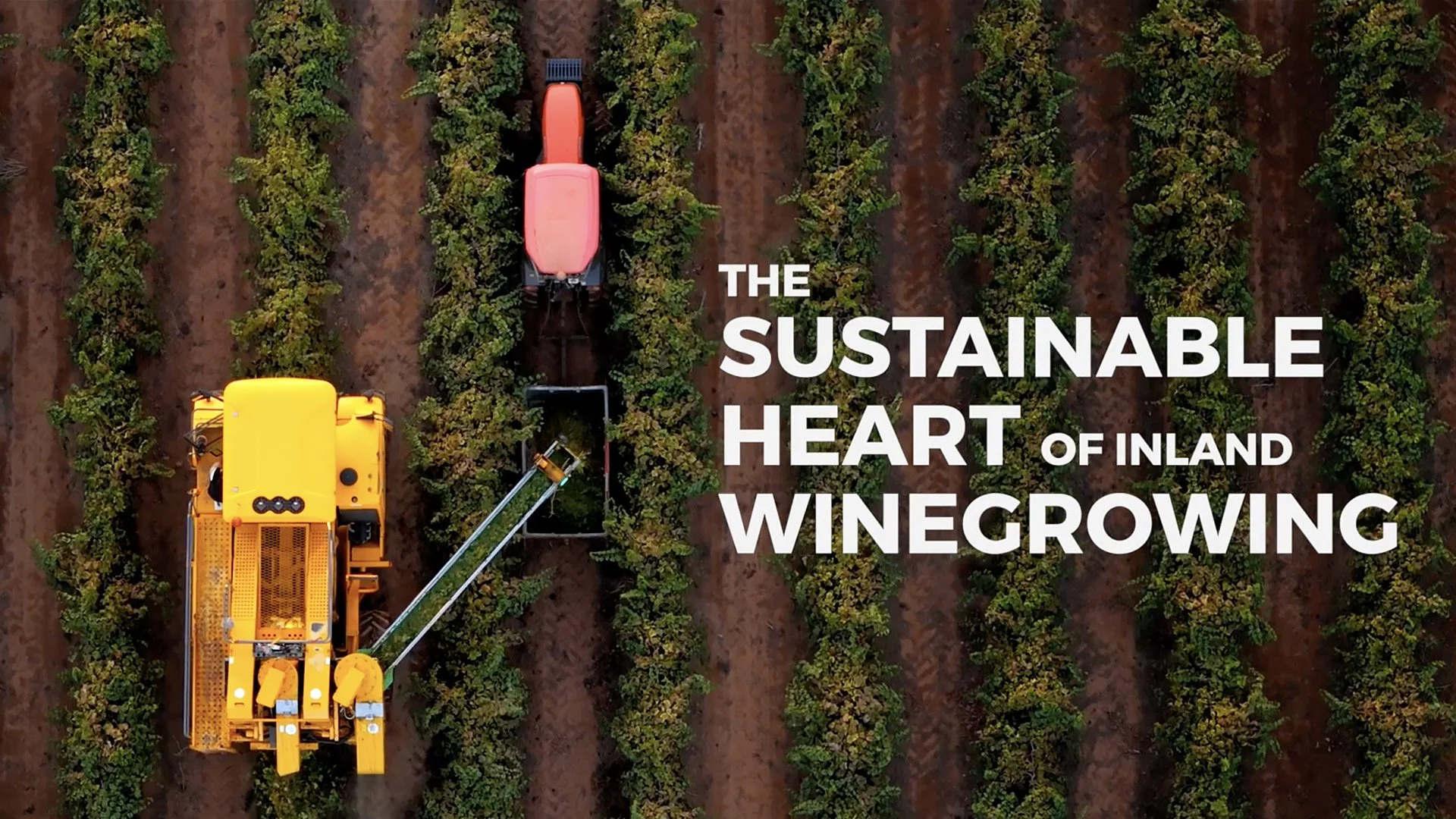 Murray Valley Winegrowers Inc - The Sustainable Heart of inland Winegrowing