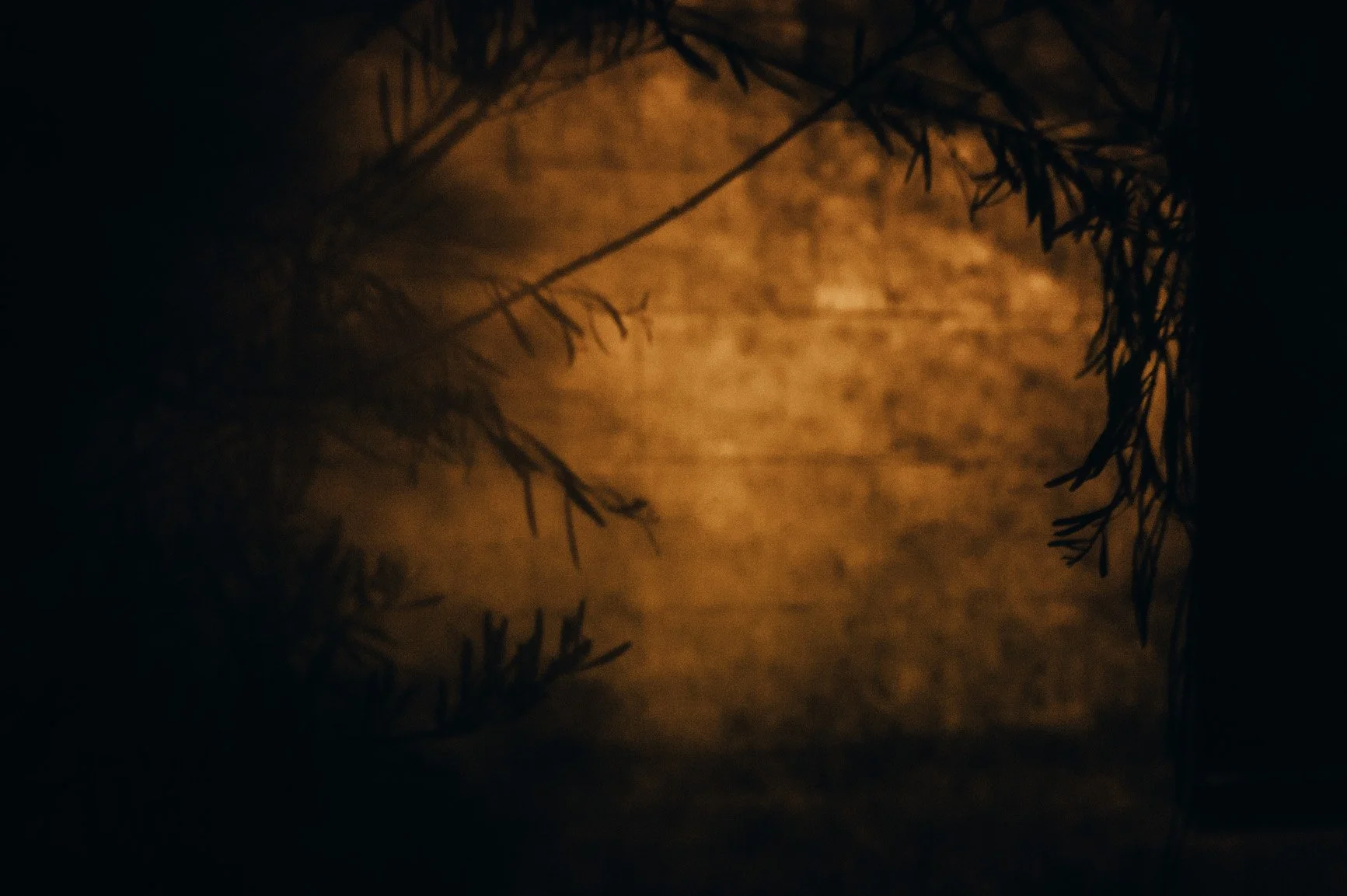 20170518_L1026708_021 copy.jpg