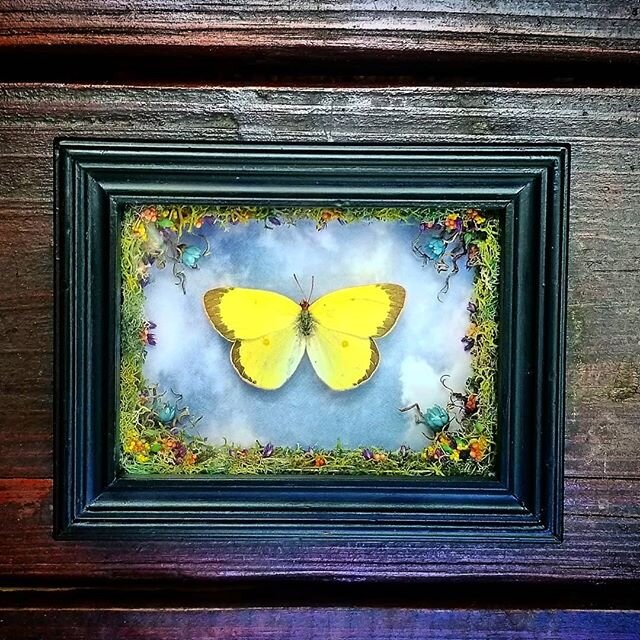 #glowup Swipe to see the BEFORE
.
.
.Interested in the AFTER? You can find it in my Etsy shop along with a bunch of other treasures 😍🦋 Link in biooo
.
.
.
.#gloup #beforepicture #afterpic #rebuild #revamped #yellowbutterfly #yellowaesthetic #sunshi