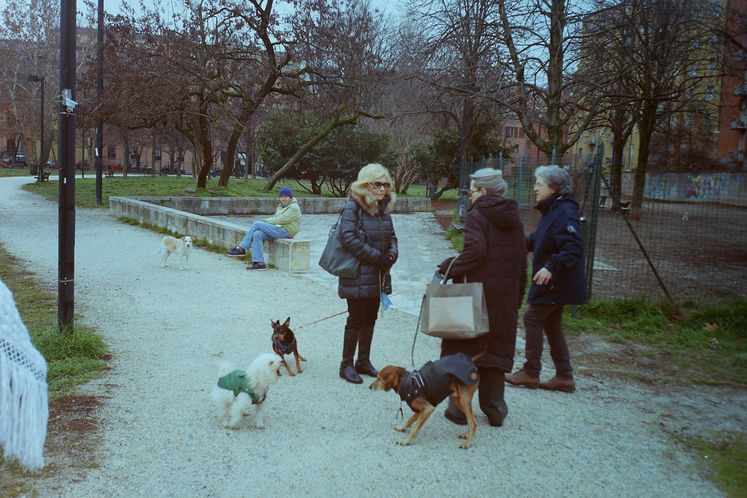 PICT0392.JPG