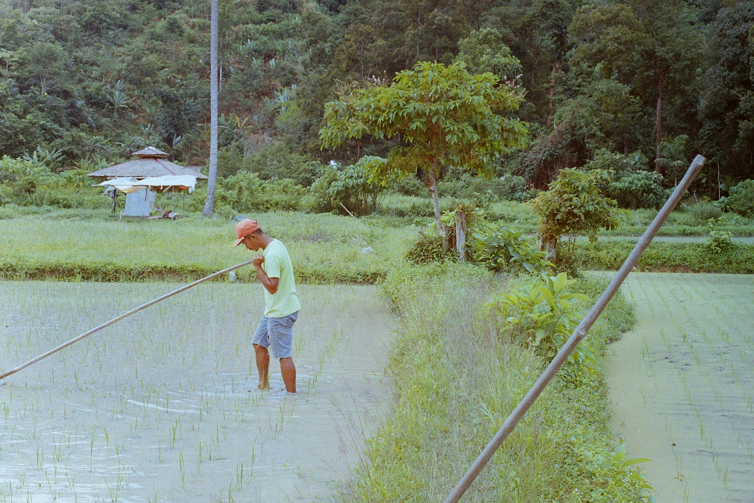 PICT0061.JPG