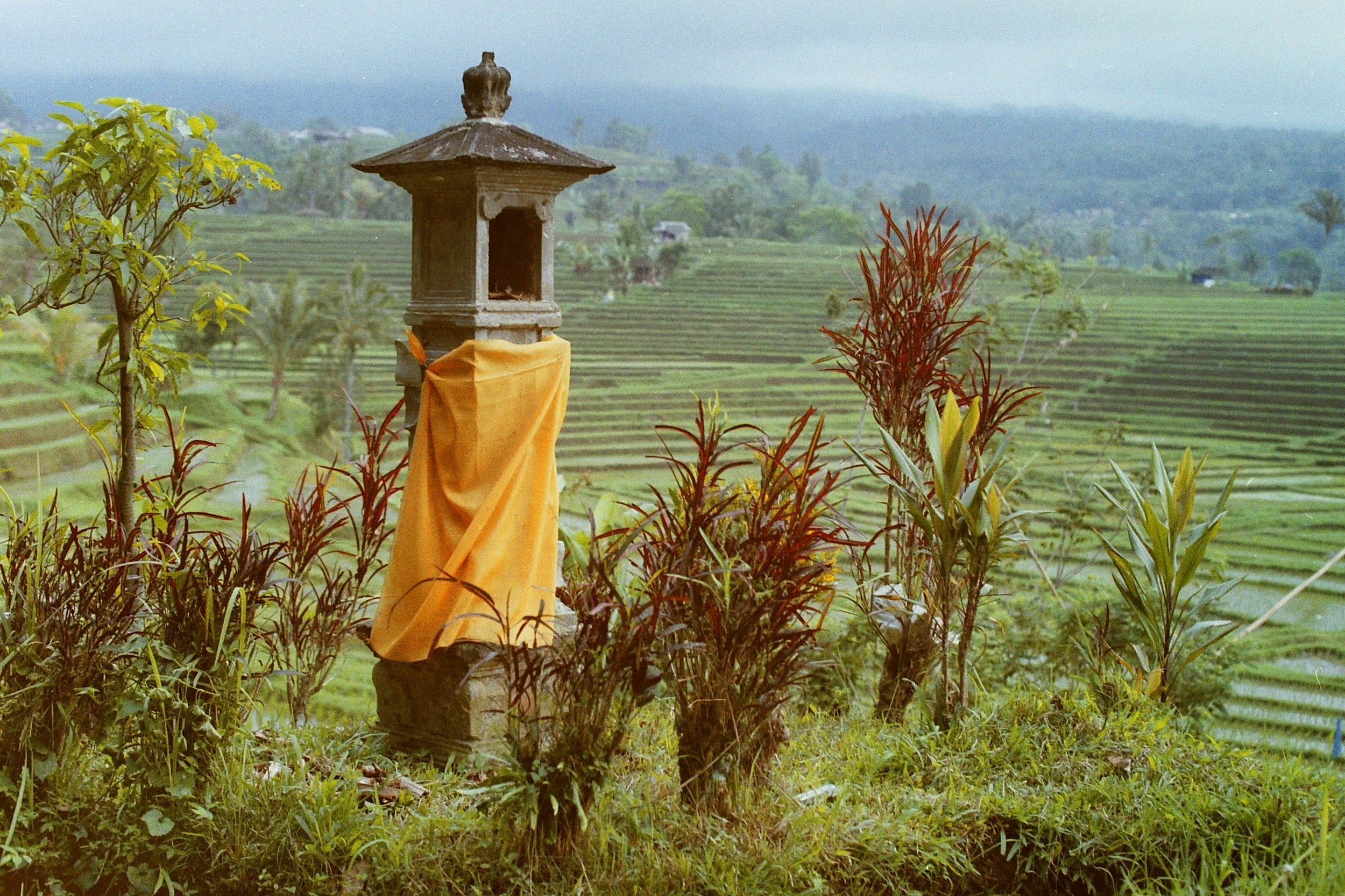 PICT0068.JPG