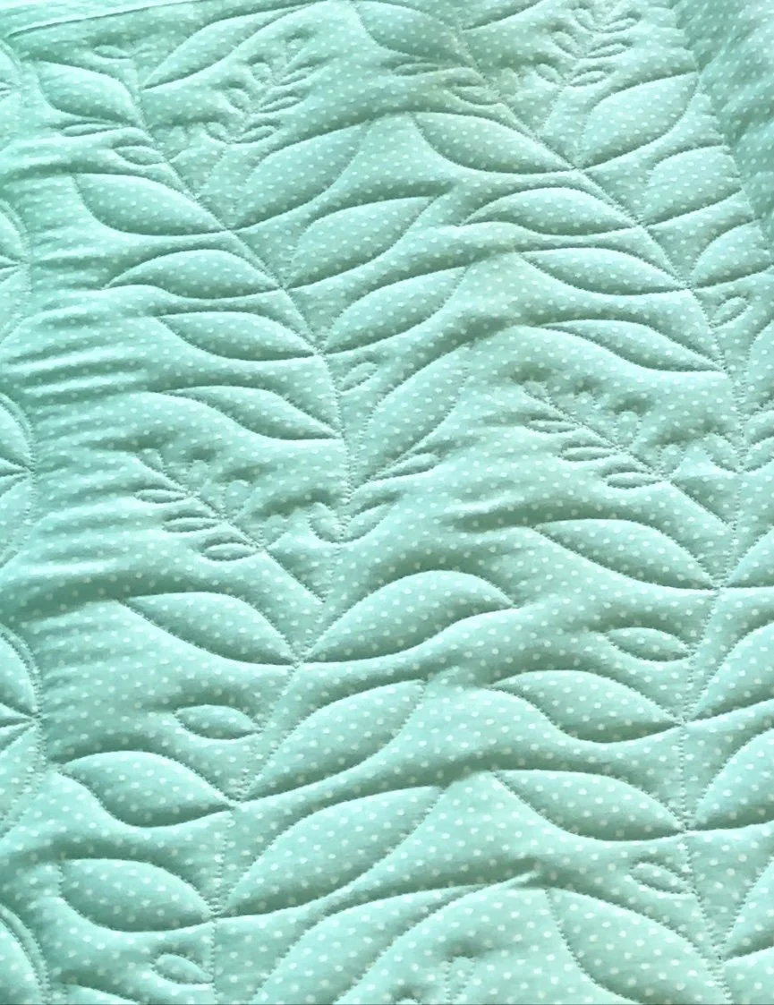 Pretty Little Vine quilted out.jpg