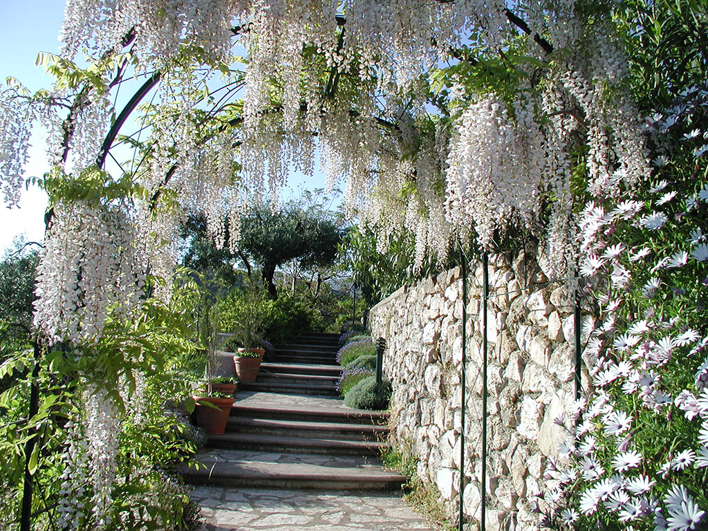 Photo credit: Levendis Estate