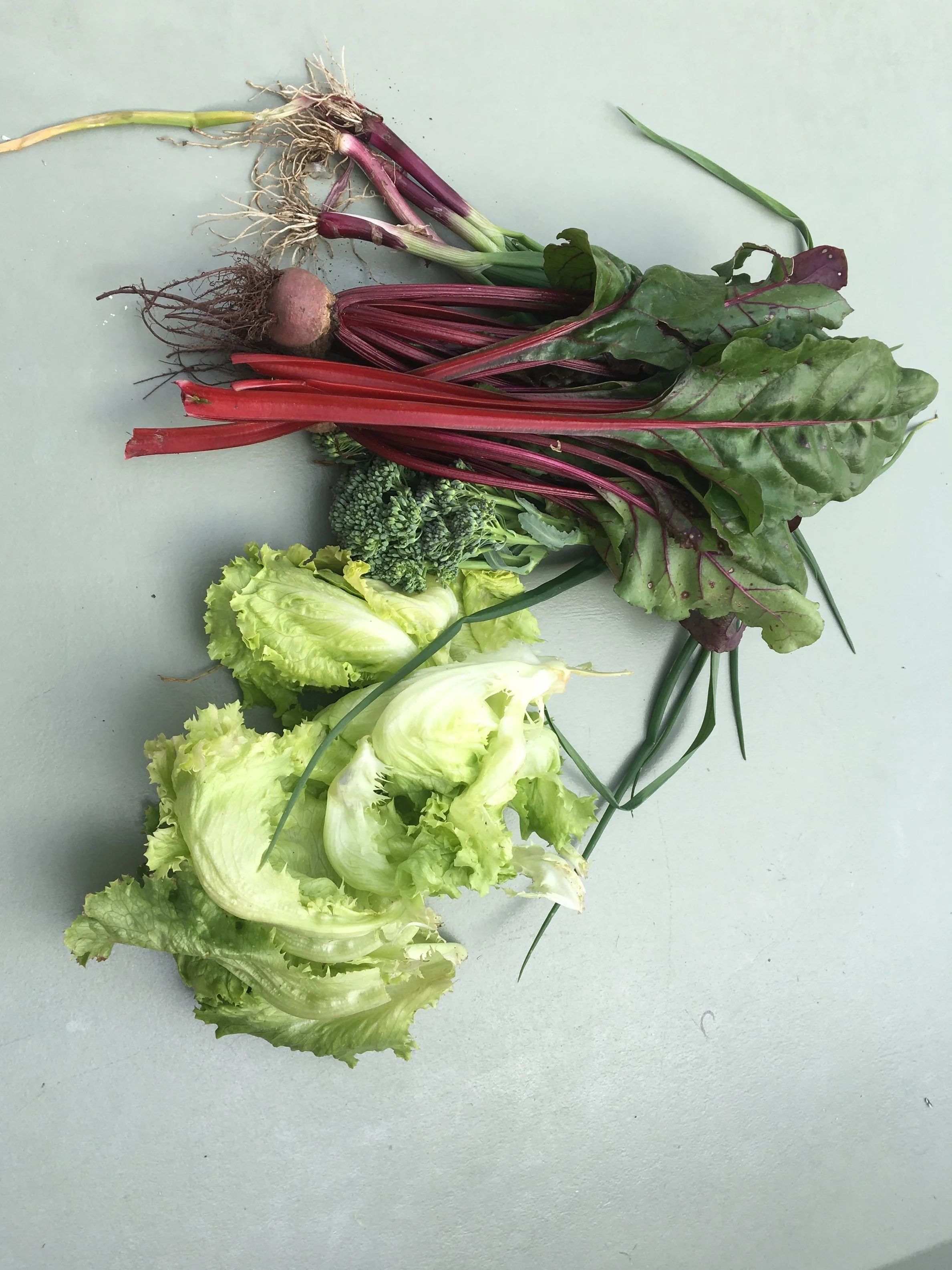 Photo: Meals picked straight from the garden