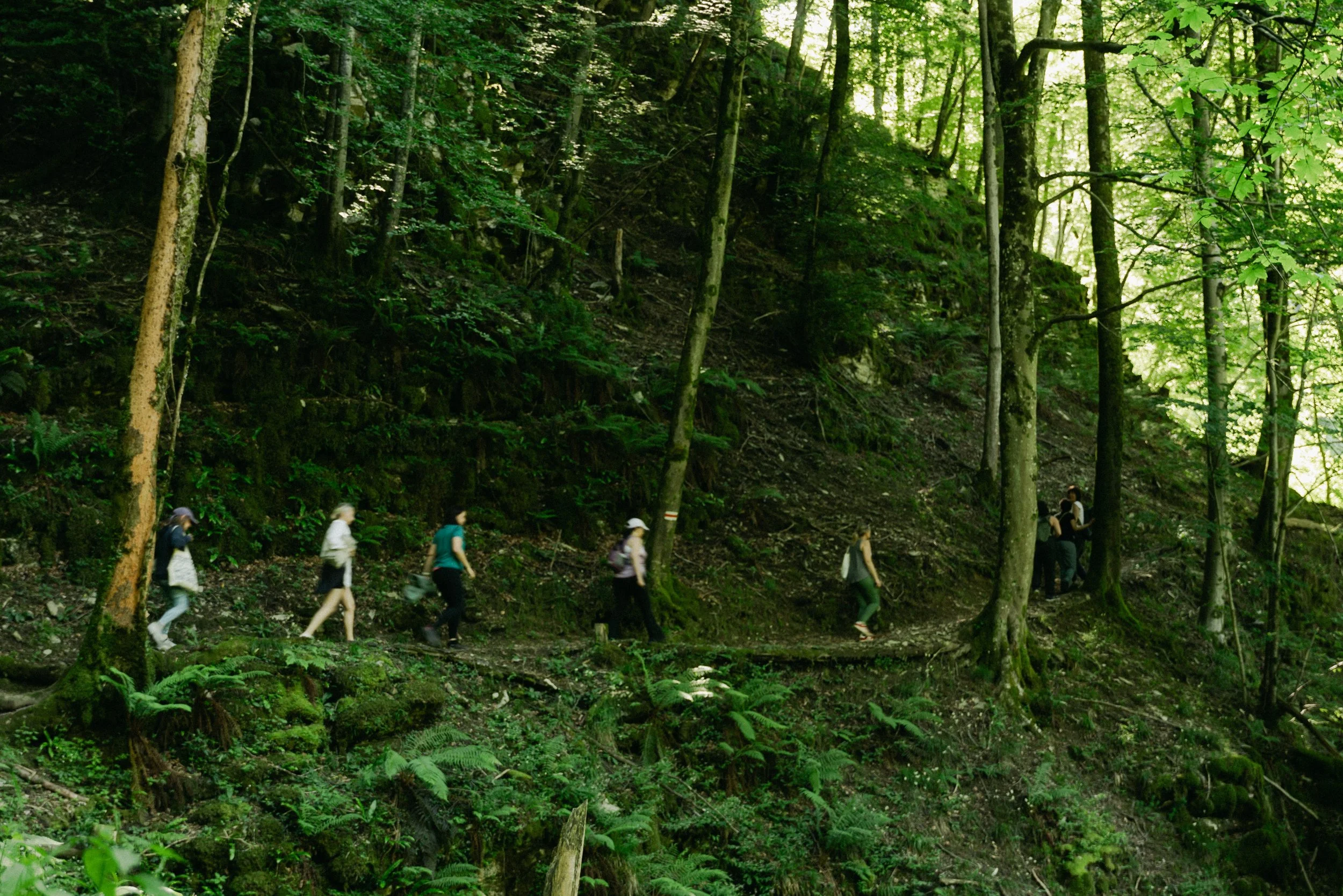 WILDSOULS-4.jpg