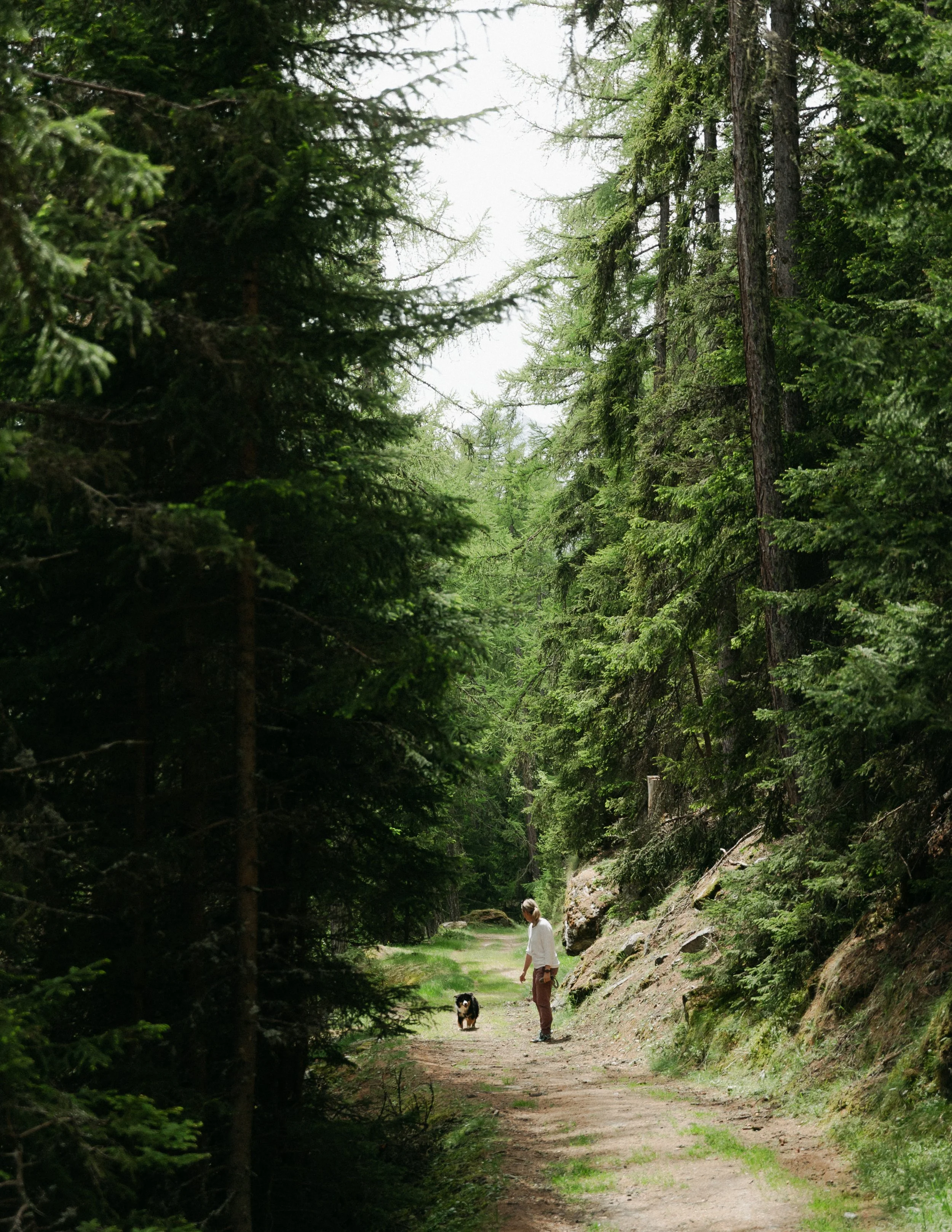 Mother Nature is our antidote to aversion