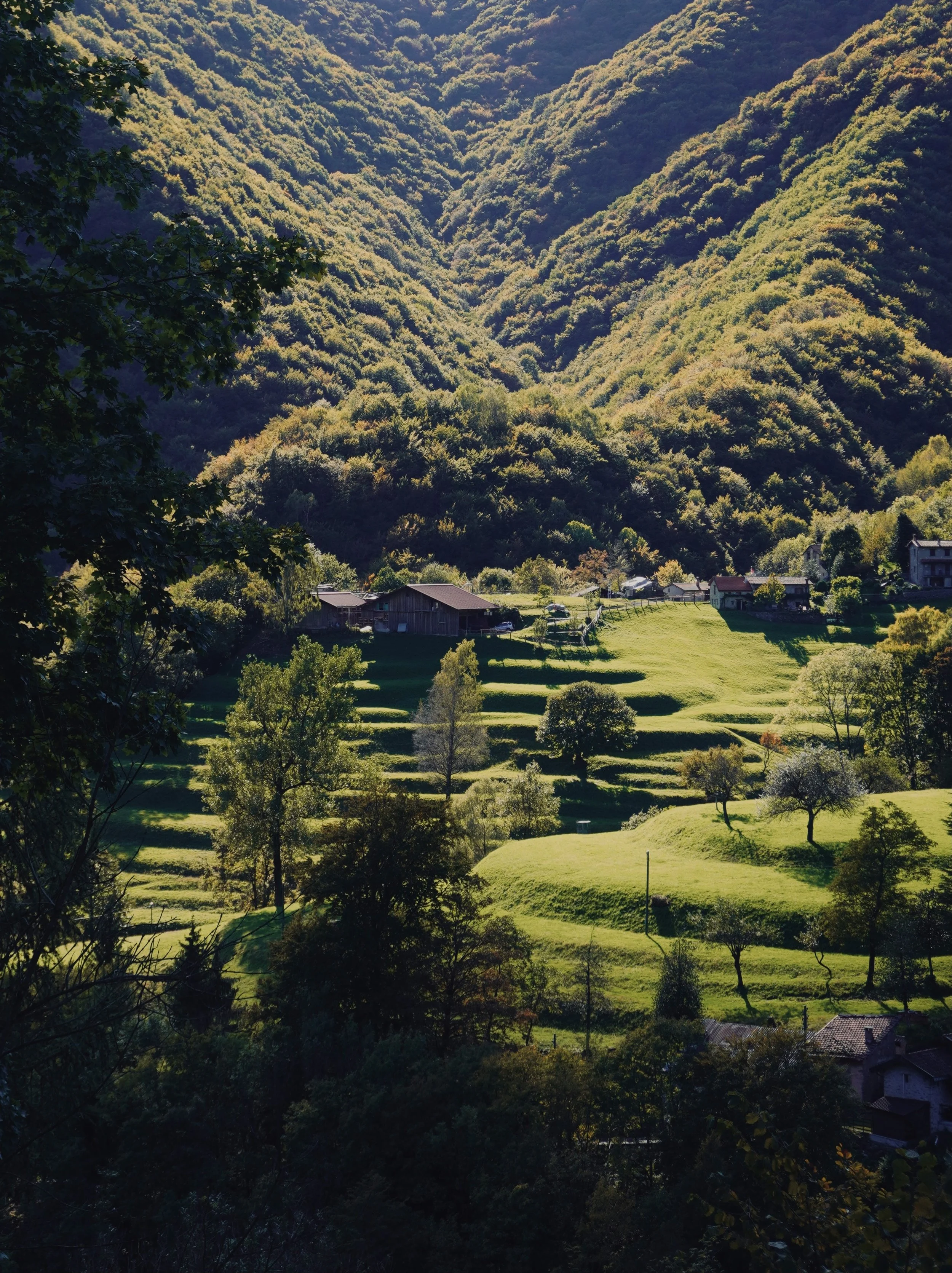 Autumn Ticino.jpg