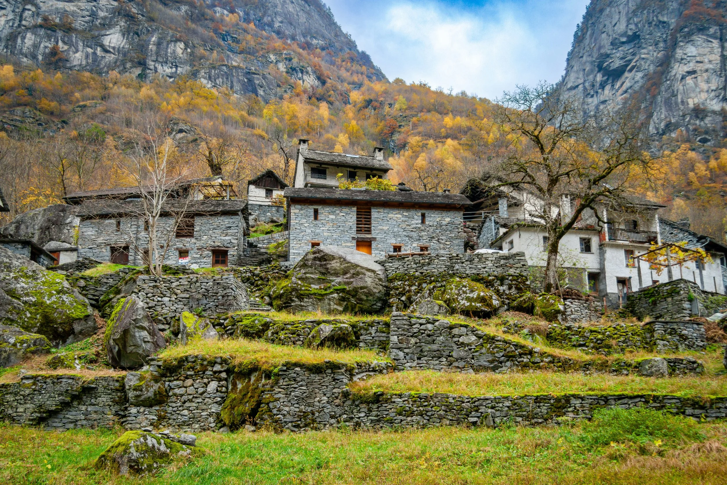 Autumn ticino II.jpg