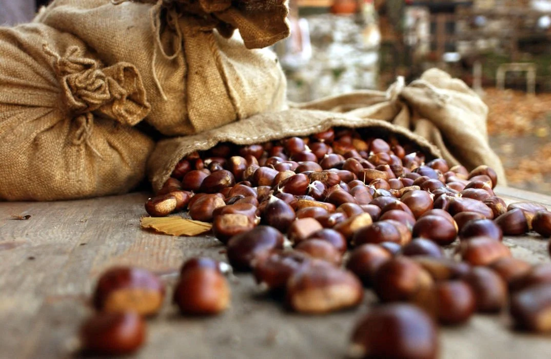Castagne-26530-full-HD.jpg