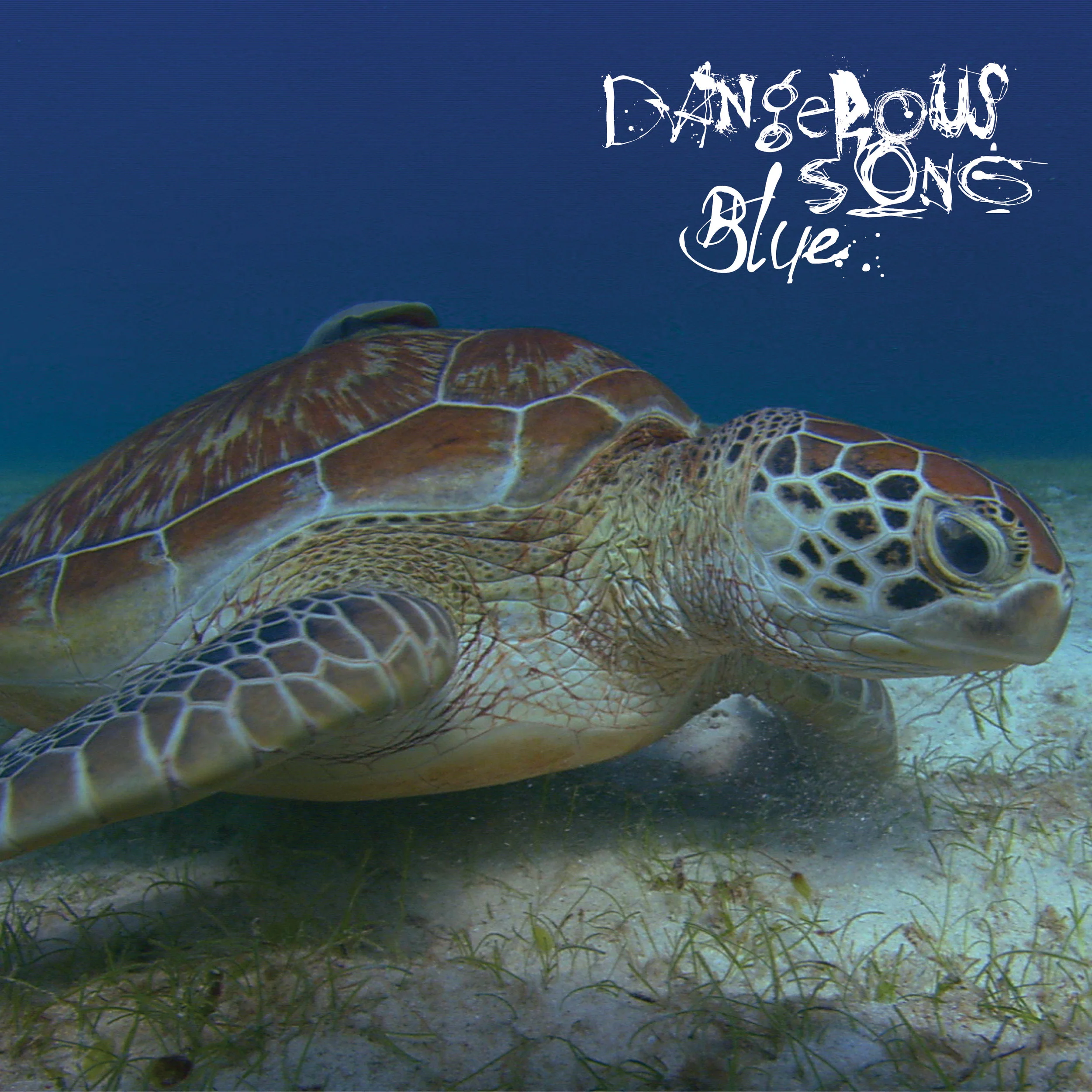 Album Cover.jpg