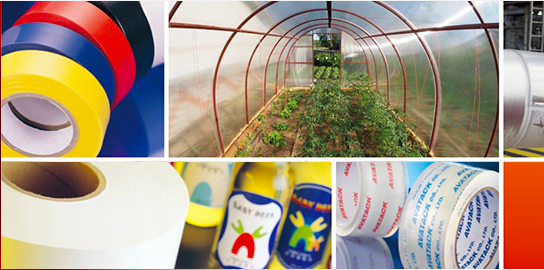 Screen Shot 2019-07-31 at 11.40.55 AM.png