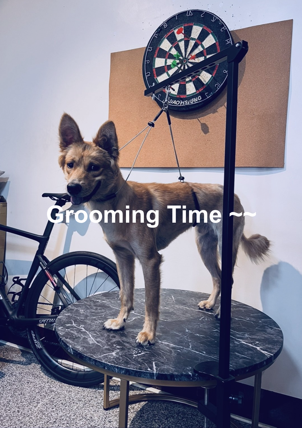 截圖 2024-10-29 上午11.26.58.png